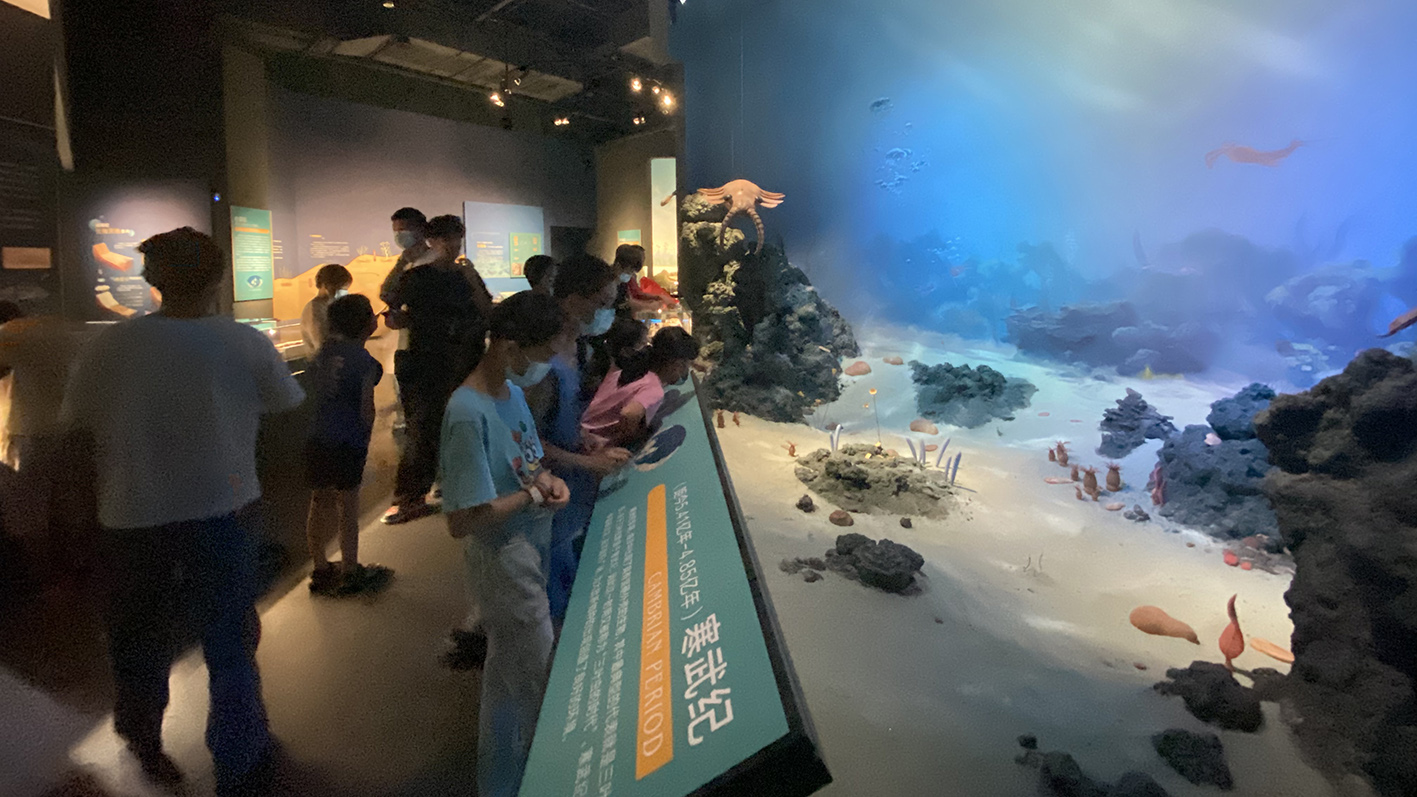 漫走設計丨打卡順德自然科學館，探索“快樂星球”！