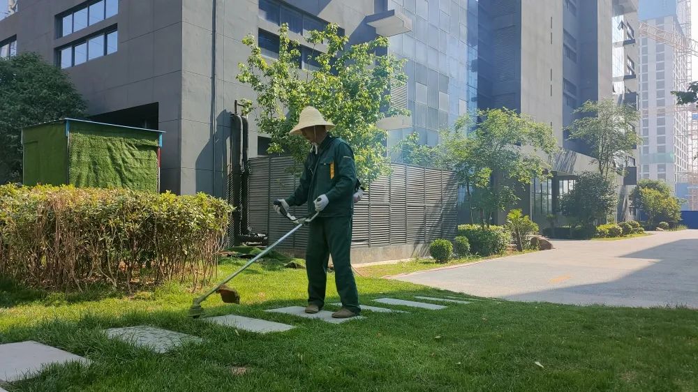 感受夏日，體驗涼爽，走進這座創(chuàng)業(yè)之城！