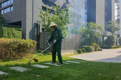 感受夏日，體驗涼爽，走進這座創業之城！